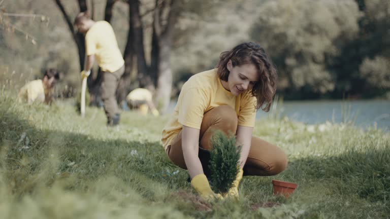 Tree and Shrub Care in Palmyra, NJ